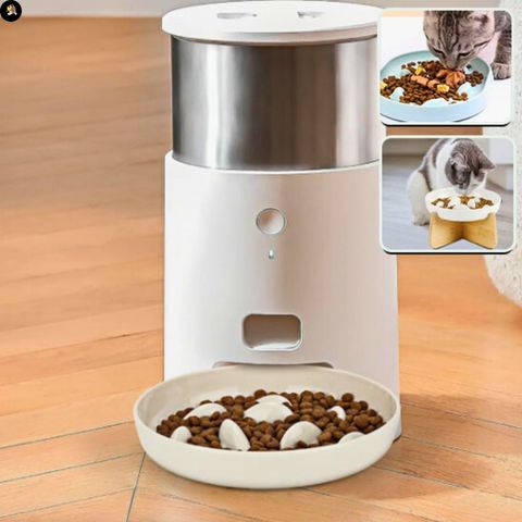 gamelle-anti-glouton-chat-bol-ceramique-distributeur