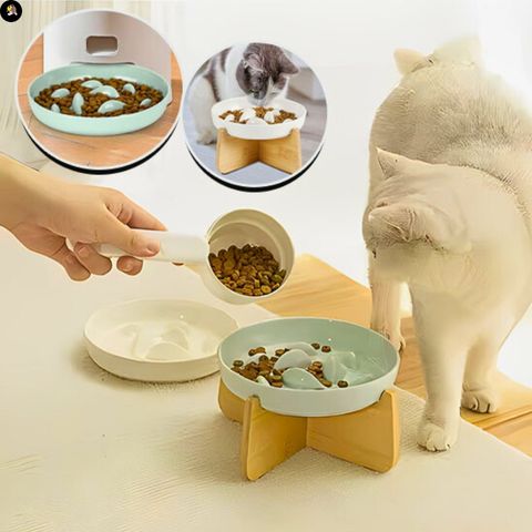 gamelle-anti-glouton-chat-bol-ceramique-naturel