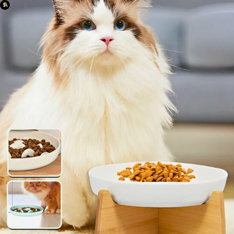 gamelle-anti-glouton-chat-bol-ceramique-vomissement