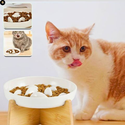 gamelle-anti-glouton-chat-bol-ceramique