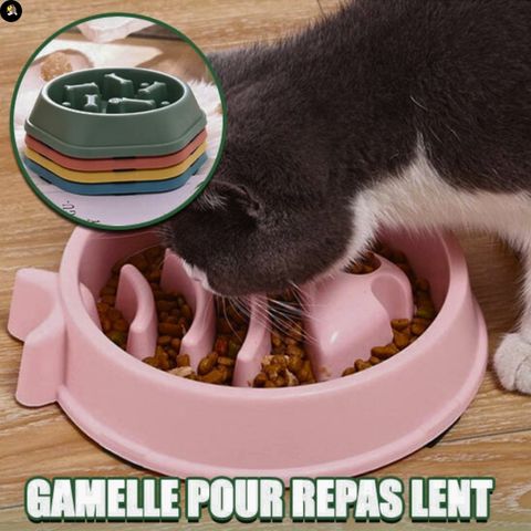 gamelle-anti-glouton-chat-tourniquet-lent