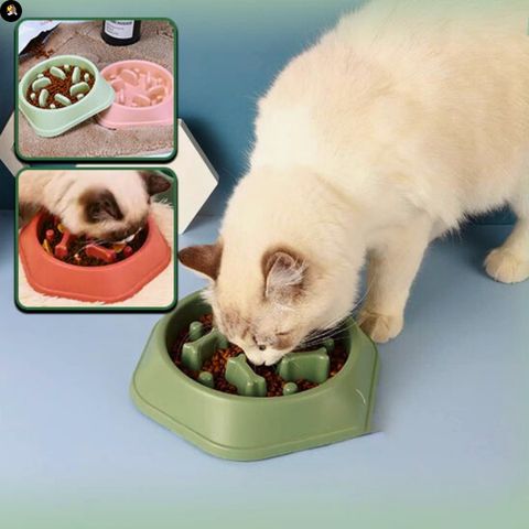 gamelle-anti-glouton-chat-tourniquet-repas