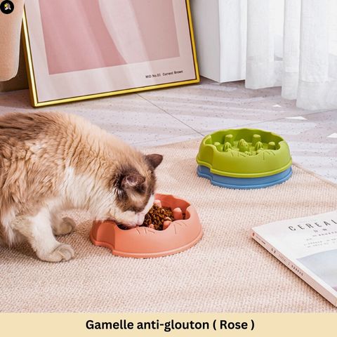 gamelle-anti-glouton-chat-tourniquet-rose