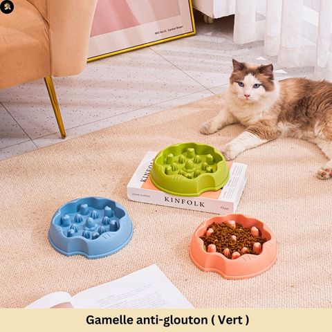 gamelle-anti-glouton-chat-tourniquet-vert
