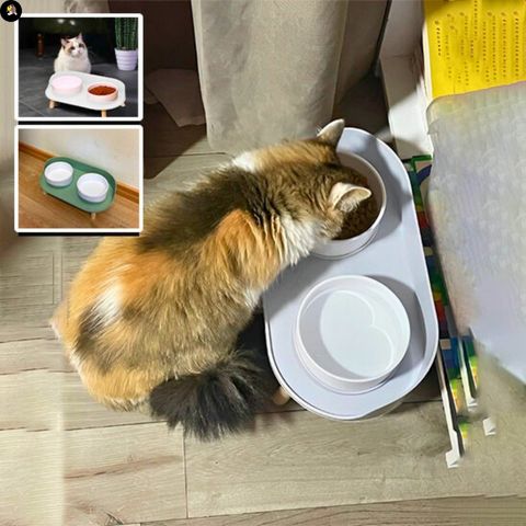gamelle-chat-double-jolie