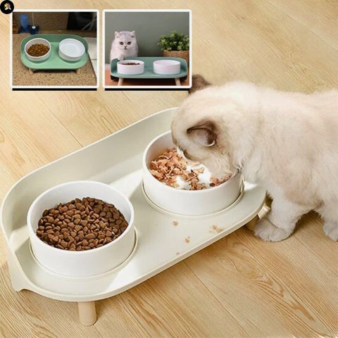 gamelle-chat-double-support