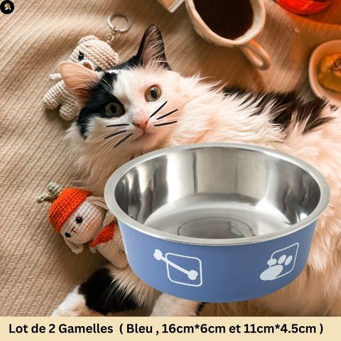 gamelle-chat-inox-bleu