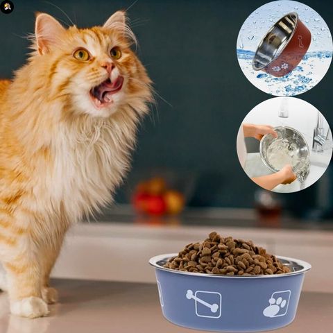gamelle-chat-inox-nettoyage