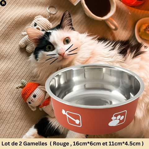 gamelle-chat-inox-rouge