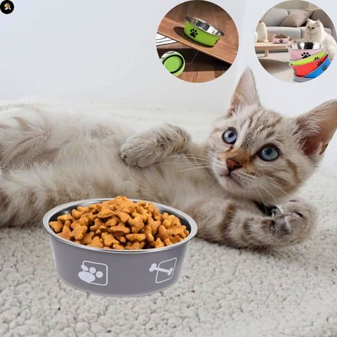 gamelle-chat-inox