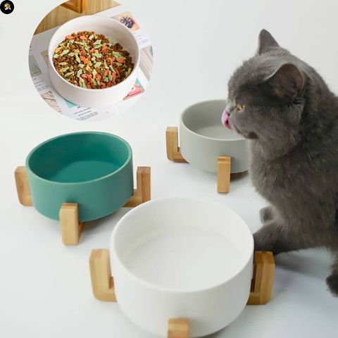 gamelle-chat-multi-couleur-ceramique-bois