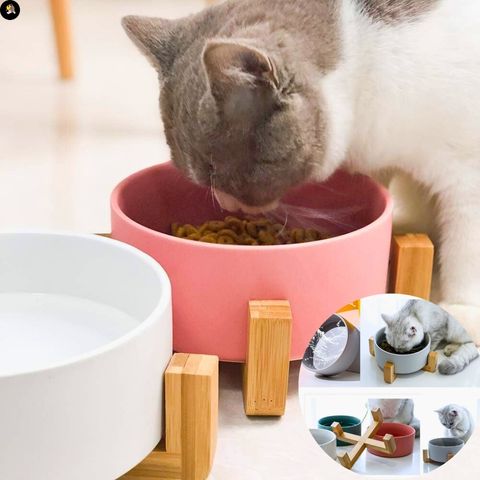 gamelle-chat-multi-couleur-ceramique-stress