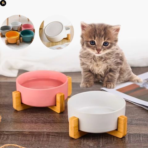 gamelle-chat-multi-couleur-ceramique
