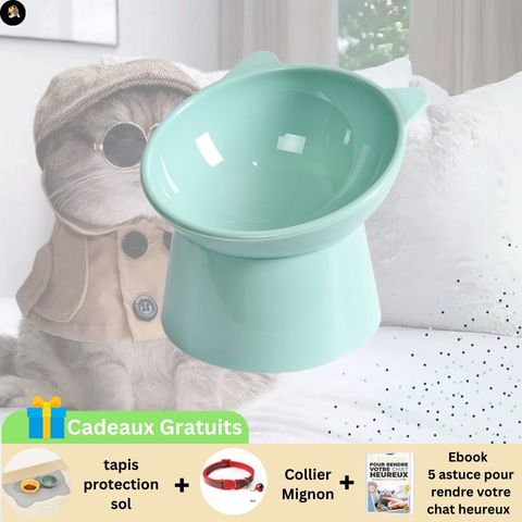 gamelle-chat-oreille-vert