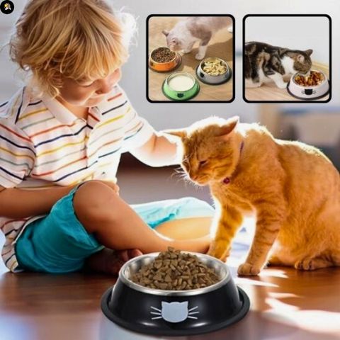 gamelle-chat-petit-chat-inox-cool
