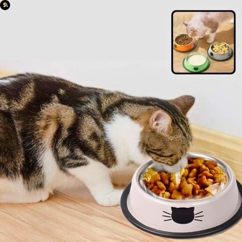 gamelle-chat-petit-chat-inox-facile