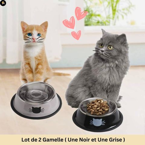 gamelle-chat-petit-chat-inox-noir-gris