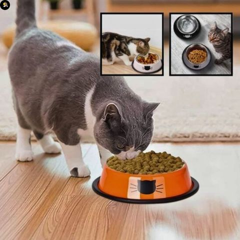 gamelle-chat-petit-chat-inox-vaiselle