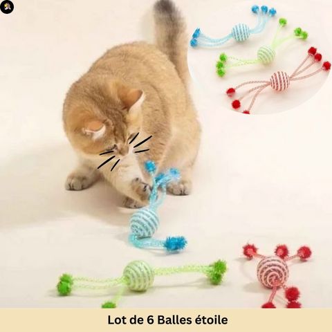 jeu-pour-chat-balle-etoile-lot-6