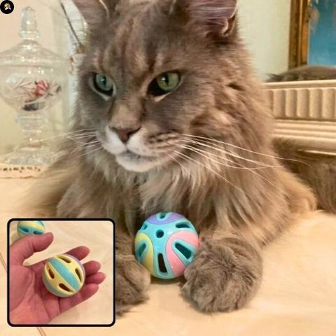 jeu-pour-chat-balle-multicolore-instinct
