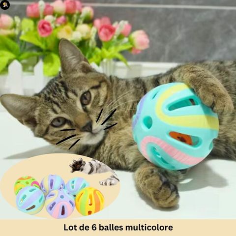 jeu-pour-chat-balle-multicolore-lot-6