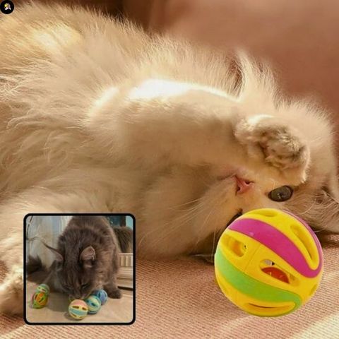 jeu-pour-chat-balle-multicolore-poursuivre-l