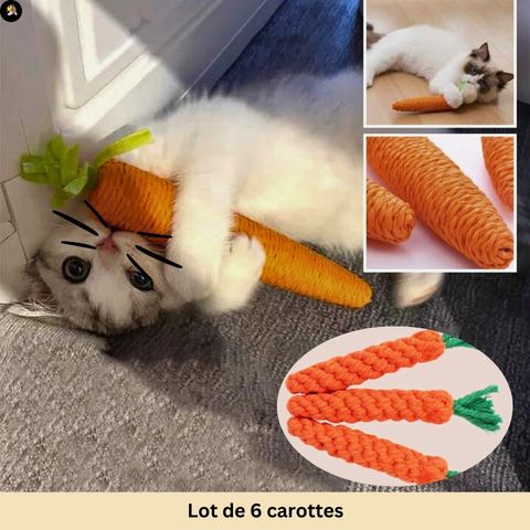 jeu-pour-chat-carotte-lot-6