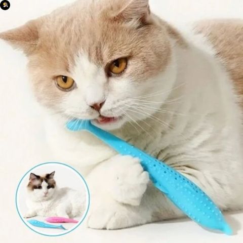 Jeu pour chat - Dauphin