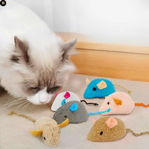 jeu-pour-chat-souris-captivant