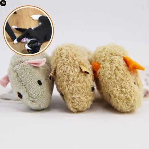 jeu-pour-chat-souris-compagnon