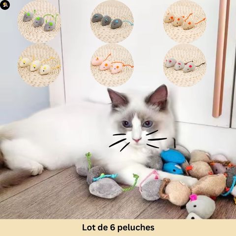 jeu-pour-chat-souris-lots-6