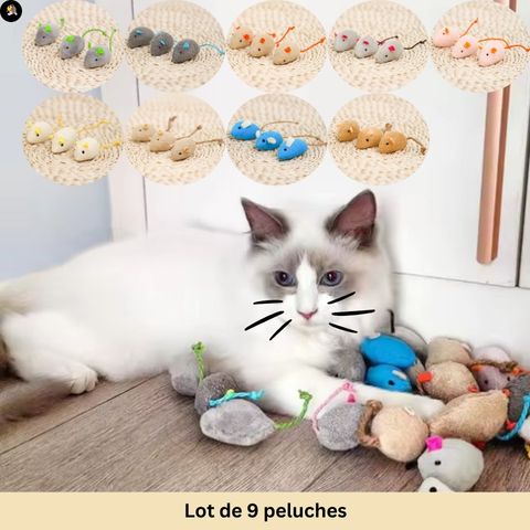 jeu-pour-chat-souris-lots-9