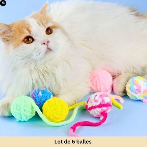 jouets-pour-chats-Balle-interactive-lot-6