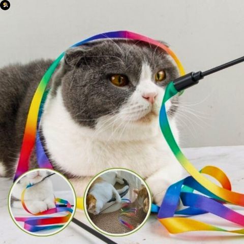 jouets-pour-chats-baguette-aventure