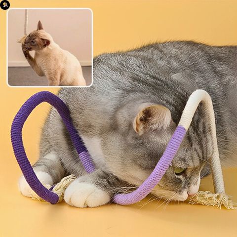 jouets-pour-chats-corde-de-morsure-comportement