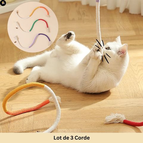 jouets-pour-chats-corde-de-morsure-ennui