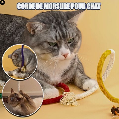 jouets-pour-chats-corde-de-morsure-sante