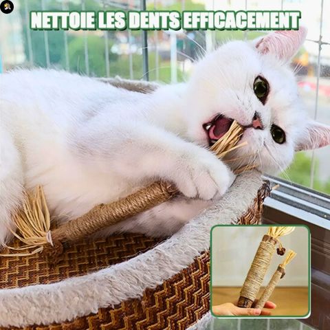 jouets-pour-les-chats-baton