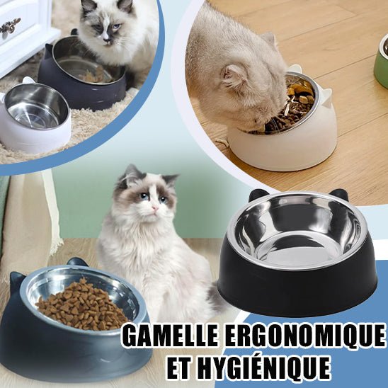 ErgO™║Gamelle Ergonomique - LesChats-Amuseur