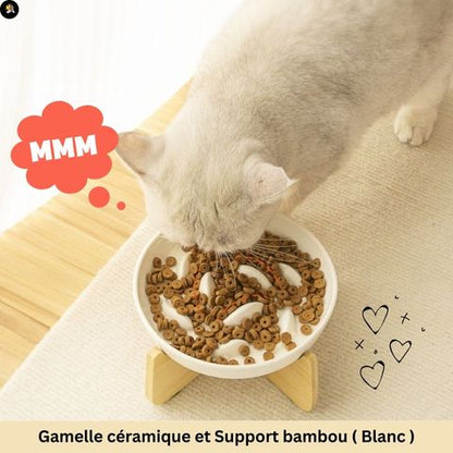 gamelle-anti-glouton-chat-bol-ceramique-blanc