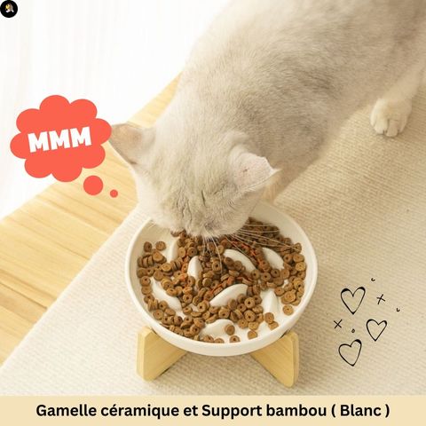 gamelle-anti-glouton-chat-bol-ceramique-blanc