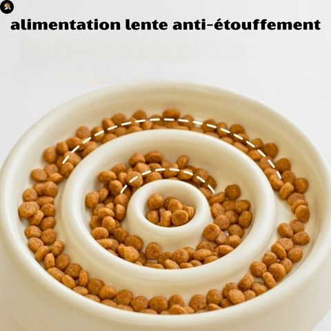 gamelle-anti-glouton-chat-cercle-ceramique-anti