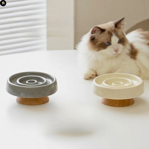 gamelle-anti-glouton-chat-cercle-ceramique-design