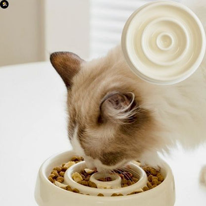 gamelle-anti-glouton-chat-cercle-ceramique-vomissement