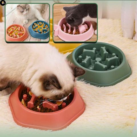 gamelle-anti-glouton-chat-tourniquet-vomissement