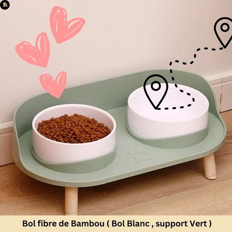 gamelle-chat-double-blanc-vert