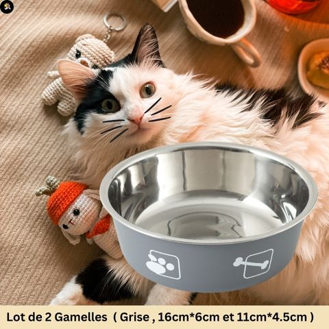 gamelle-chat-inox-grise