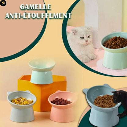 gamelle-chat-oreille-15