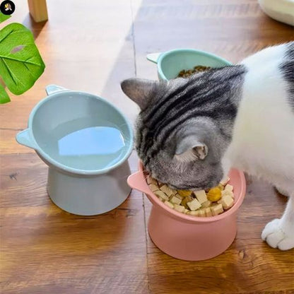gamelle-chat-oreille-digestion