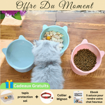 gamelle-chat-oreille-lot-4